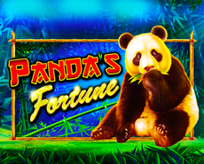 Live Casino image