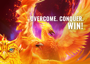 Promotion image