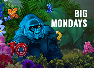 Promotion image