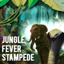 Promotion image